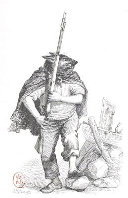 # 101/313 - Lupins et république lupine