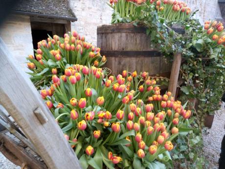 1155e chapitre des tulipes – Confrérie des chevaliers du tastevin