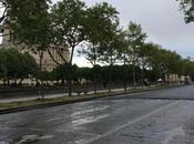 Stupidalgo gagne enfin Grand prix Formule comme Esbroufe