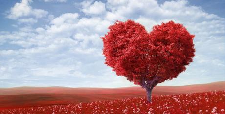 Le Fruit Ultime, Le Vieux Pommier Dégeulasse et La Pomme