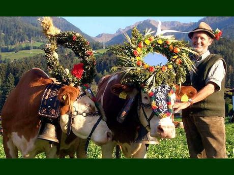 Divers - Transumance - 3