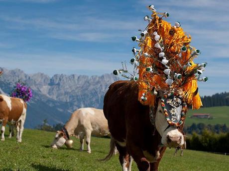 Divers - Transumance - 3