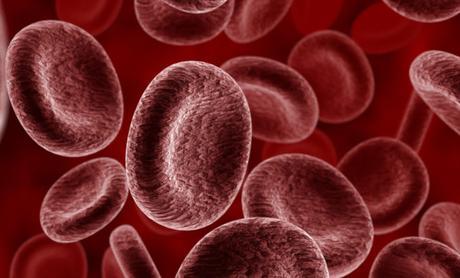 Contre la pénurie de sang humain, du sang artificiel