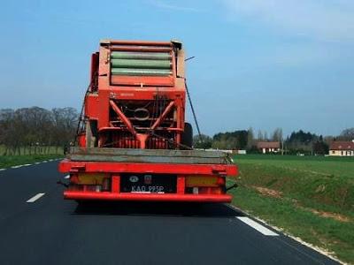 # 103/313 - Chaos papal