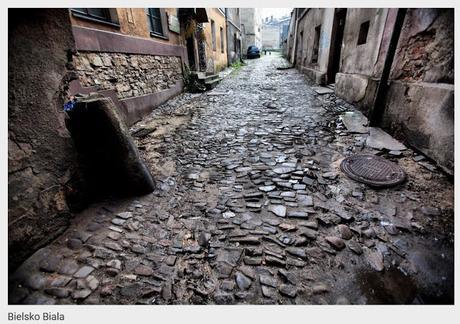 # 104/313 - L'autre Véronique # 104/313 - L'autre Véronique