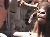 Rions avec électeurs Mélenchon