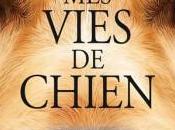 critique Vies Chien, film Lasse Hallström