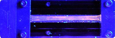 Photograph of mechanophore-containing polymer under UV light as it is stretched