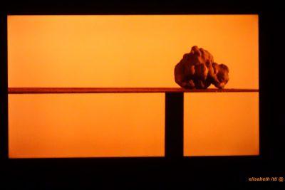 Talents Contemporains 5e édition