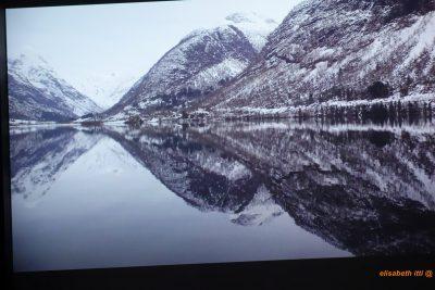 Talents Contemporains 5e édition