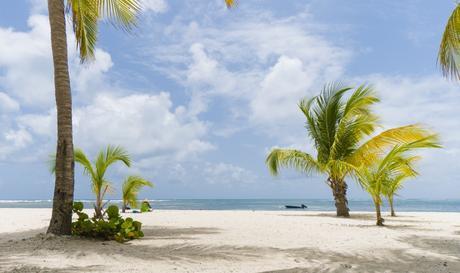 10 conseils pratiques pour un voyage réussi en Guadeloupe