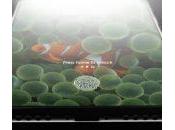 iPhone vidéo d’un concept (3D) basé certaines rumeurs