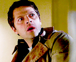 Vis ma vie … de libraire #5