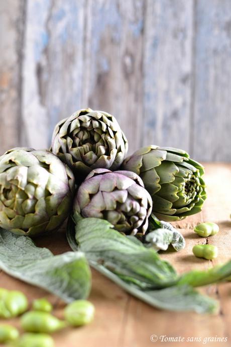 De l'importance des saisons artichauts