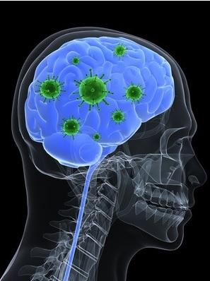 SYNDROME du CÔLON IRRITABLE : Le cerveau en cause dans le déséquilibre du microbiote – Microbiome