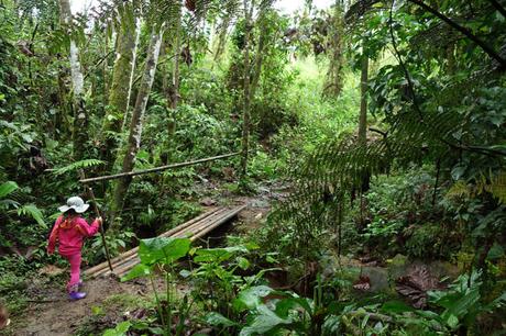 Visiter l’Amazonie en Équateur