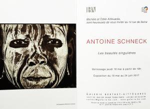Galerie Berthet-Aittouares  exposition Antoine SCHNECK « Les beautés singulières » 18 Mai au 24 Juin 2017