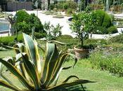 Créer jardin, quel style, quelle influence