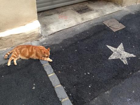 Une rue montpelliéraine #4 Une rue montpelliéraine #4