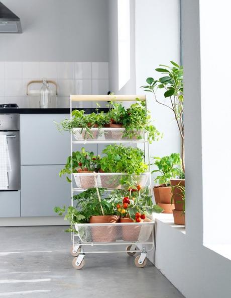 etagere pour plantes aromatiques jardiner en appartement