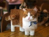 animaux Minecraft… vrai