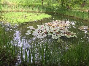 « LE POUVOIR DES FLEURS » « FLOWER POWER » Festival International des Jardins – Domaine de Chaumont sur Loire- depuis le 20 Avril 2017