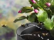 Partez l’esprit tranquille, Parrot s’occupe plantes