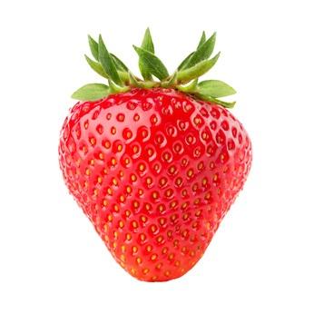 CANCER du SEIN : Des fraises contre la métastase – Scientific Reports