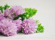 Menu jour weight watcher