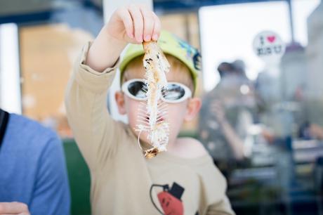 Voyage \ Essaouira (#3) – là où les enfants sont à tout le monde