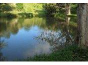 Grands Fonds Guadeloupe