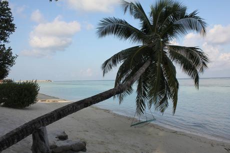 Quelques jours au paradis avec le Lux* South Ari Maldives