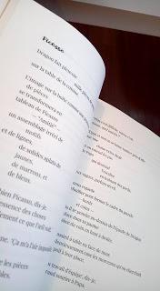 Nos Inséparables sont de sortie