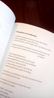 Nos Inséparables sont de sortie