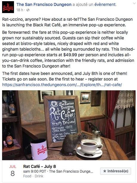Un café à rats va ouvrir à Sans Francisco