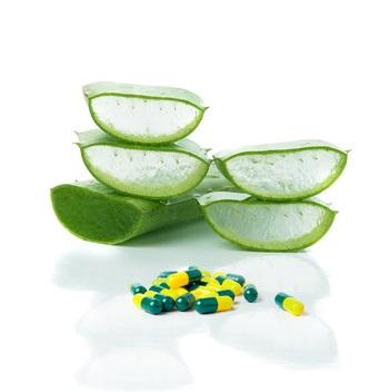 CONTRACEPTION : Une pilule à base de plantes et sans hormones ? – PNAS