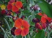 Suppression compte Twitter