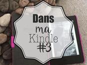 Dans Kindle