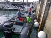 Joli mois mai, joli gouvernement