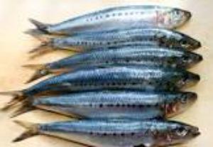 Tartare de sardines et saumon fumé aux charlottes de Noirmoutier