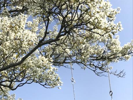 (Fête des Mères) Les bijoux Art Déco de la maison Charriol pour une Maman raffinée