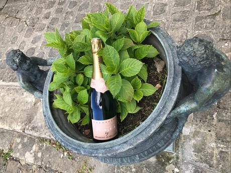 (Fête des Mères) Bulles d’amour avec « Triple B » : le champagne bio de Besserat de Bellefon