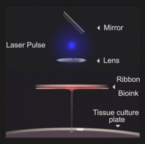 Schéma de la Bio-Impression par Laser