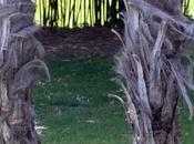 plutôt l'être l'avoir