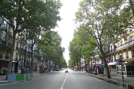 Stupidalgo est tombée par terre : c'est pourtant pas la faute au boulevard Voltaire !