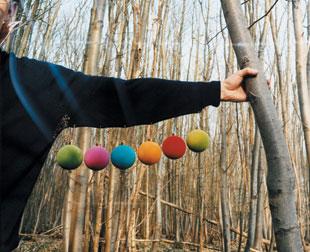 Photo du site de Caribou