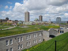 grass-covered rooftops from the citadelle