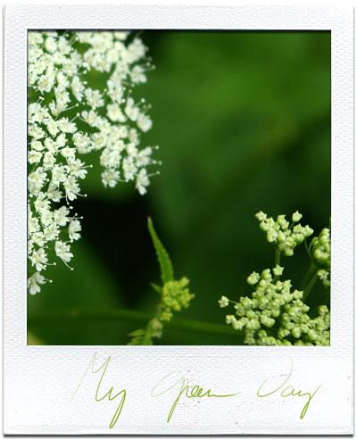 Vert nature, vert fraicheur, vert vacances