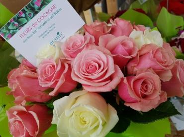 Des roses bio, locales et solidaires pour la Fête des Mères