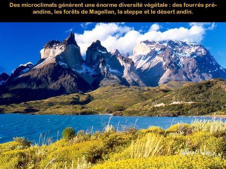 Divers - Huitième merveille - 2